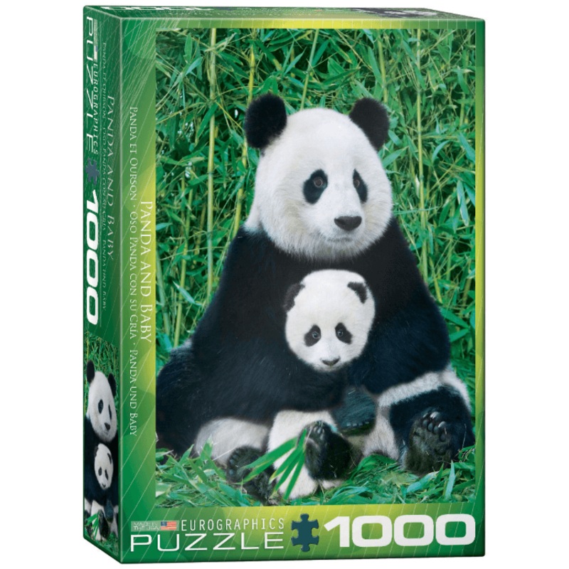 boardplayx2769513