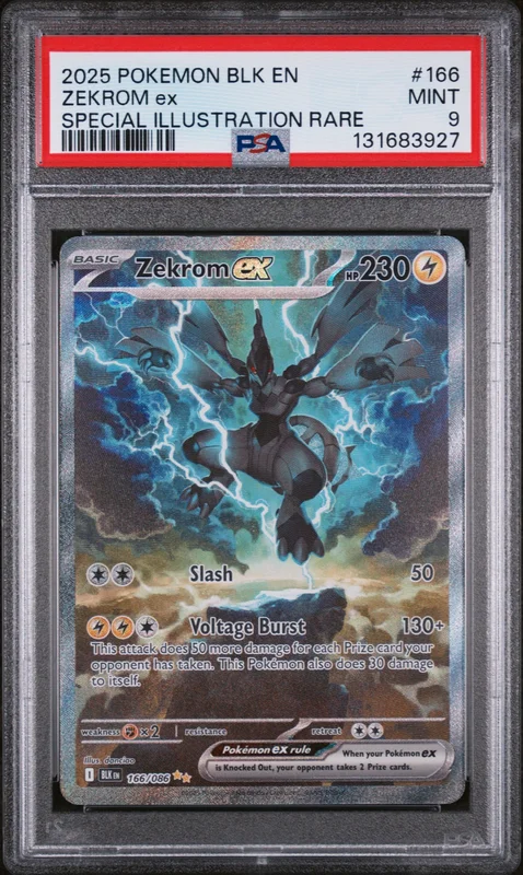 cardshq137393