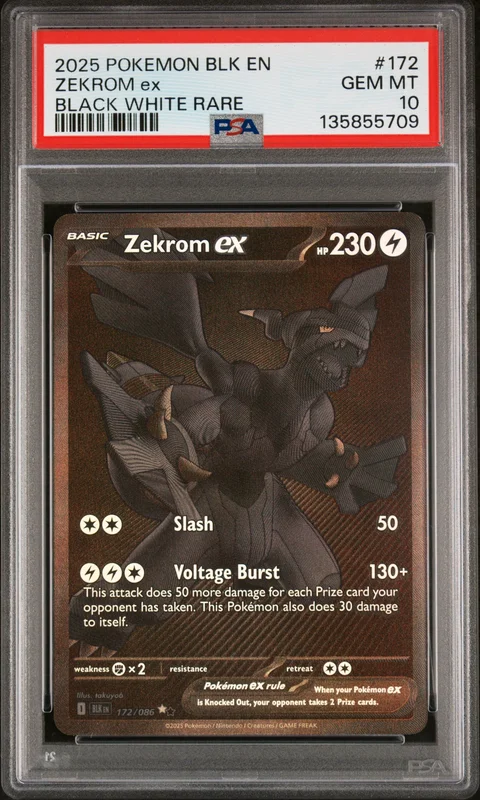 cardshq213203