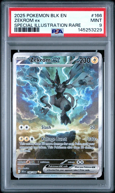 cardshq309956