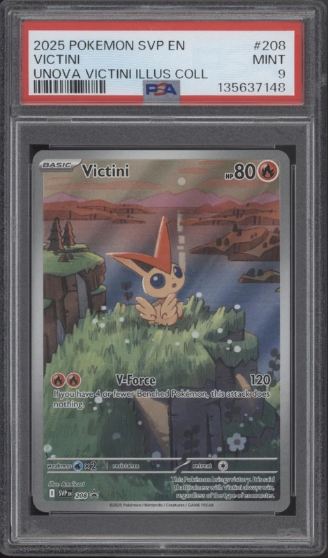 collectorstore203580