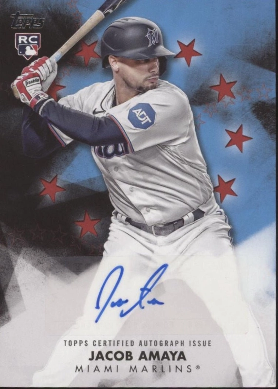 collectorstore24110