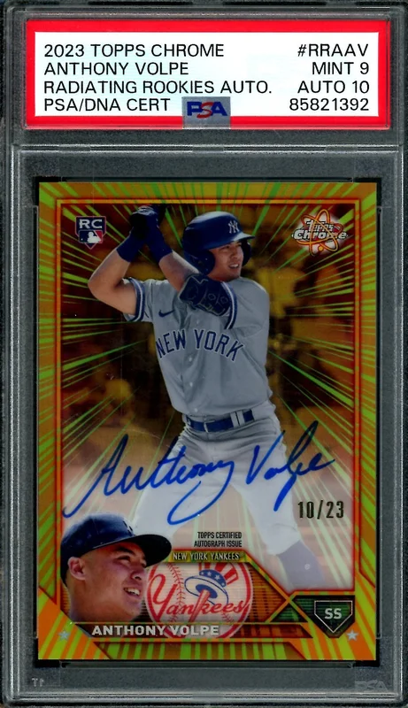 tradingcardmarket2839567
