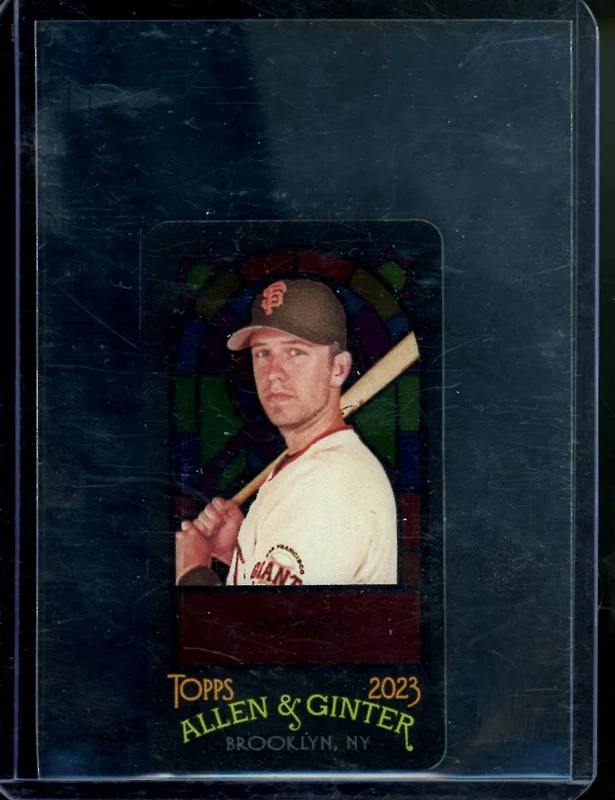 tradingcardmarket2846089
